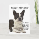 Suche nach boston terrier geburtstag karten Lustig