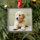 Suche nach couch ornamente Hund