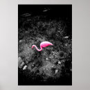 Suche nach rosa flamingo poster Spaß