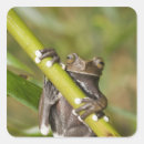 Suche nach amphibien aufkleber Zoologie