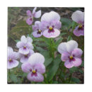 Suche nach east fliesen Blume