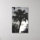 Suche nach baum silhouette leinwandbilder Palme
