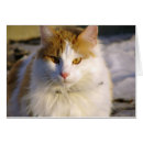 Suche nach gepunktete katze postkarten Kitty