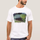 Suche nach männliche farben tshirts Vogel