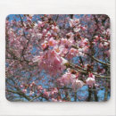 Suche nach kirschblüte blüte mousepads Natur