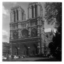Suche nach notre dame fliesen France