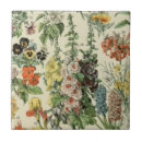 Suche nach botanische illustration fliesen Vintag