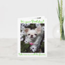 Suche nach alles gute zum für hunde geburtstag karten Blumen