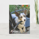 Suche nach cute dog karten Pets