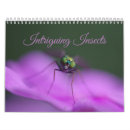 Suche nach insekten kalender Schmetterling