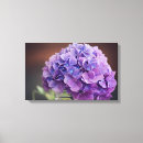 Suche nach hydrangeas leinwandbilder Lila