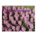 Suche nach holländer kalender Netherland