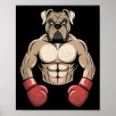Suche nach boxer hunde poster Boxleben