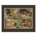 Suche nach dschungeltier poster Niedliche dschungeltiere