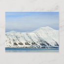 Suche nach svalbard postkarten Polar