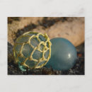 Suche nach net postkarten Dh