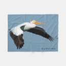 Suche nach weißer pelikan Vogel