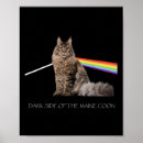 Suche nach maine coon poster Katzenfrau