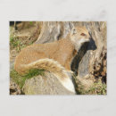 Suche nach mongolei poster Natur