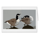 Suche nach grafische kunst karten Vögel