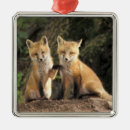 Suche nach bau ornamente Welpe