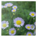 Suche nach weiße blume fliesen Blumen