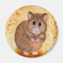 Suche nach hamster magnete Niedlich