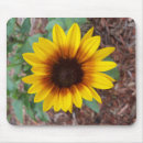 Suche nach rote augen mousepads Blume