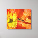 Suche nach mohnblumen leinwandbilder Orange