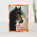 Suche nach stallion karten Stute