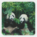 Suche nach andere säugetiere aufkleber Fauna