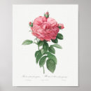 Suche nach vintage rosen kunst poster Elegant