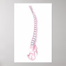 Suche nach conceptual poster Biologie