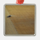 Suche nach augen auf ihnen ornamente Ansicht