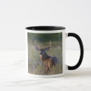 Suche nach odocoileus Tag