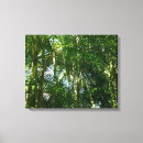 Suche nach tropen leinwandbilder Tropisch