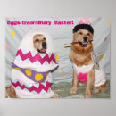 Suche nach goldenes ei poster Golden retriever