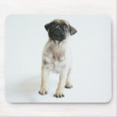 Suche nach niedlicher mops mousepads Haustier