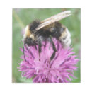Suche nach hummel notizblock Bienen