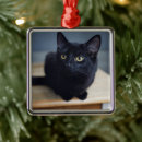 Suche nach schwarze katze ornamente niedlich