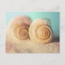 Suche nach nautilus postkarten Strand