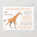 Suche nach sehr lustige giraffe postkarten Für kinder
