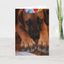 Suche nach grosse hute karten Hund