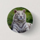 Suche nach schönes tier buttons Tiger