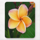 Suche nach frangipani mousepads Natur