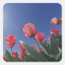 Suche nach am niedrigsten aufkleber Rosa