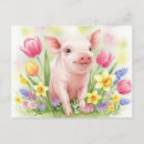 Suche nach glückliches schwein postkarten Tier