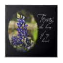 Suche nach texas stern fliesen Einziger stern staat