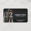 Suche nach fuß visitenkarten Katze