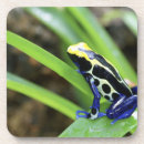 Suche nach costa rica untersetzer Nahaufnahme